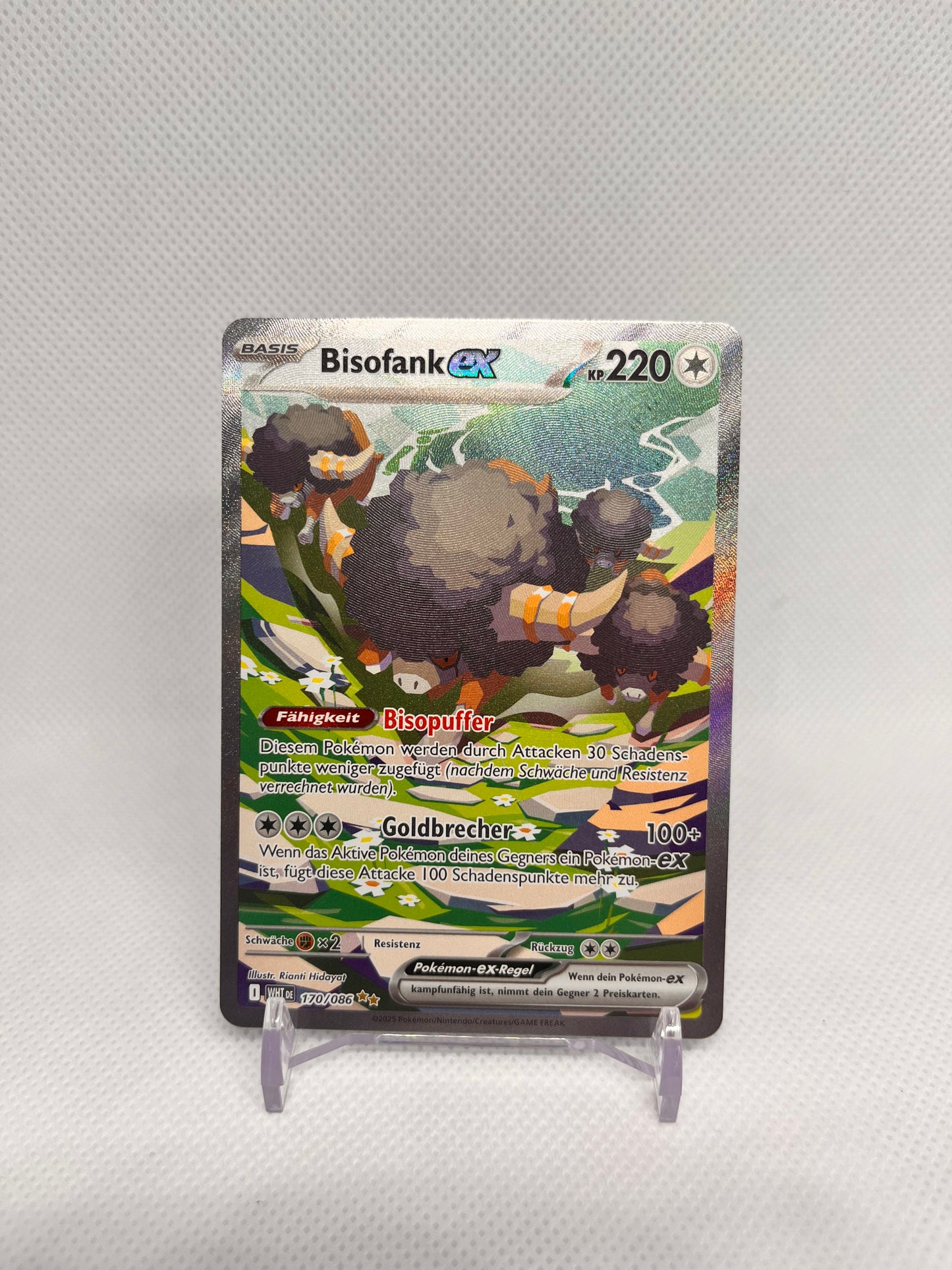 Bisofank ex WHT170, DE