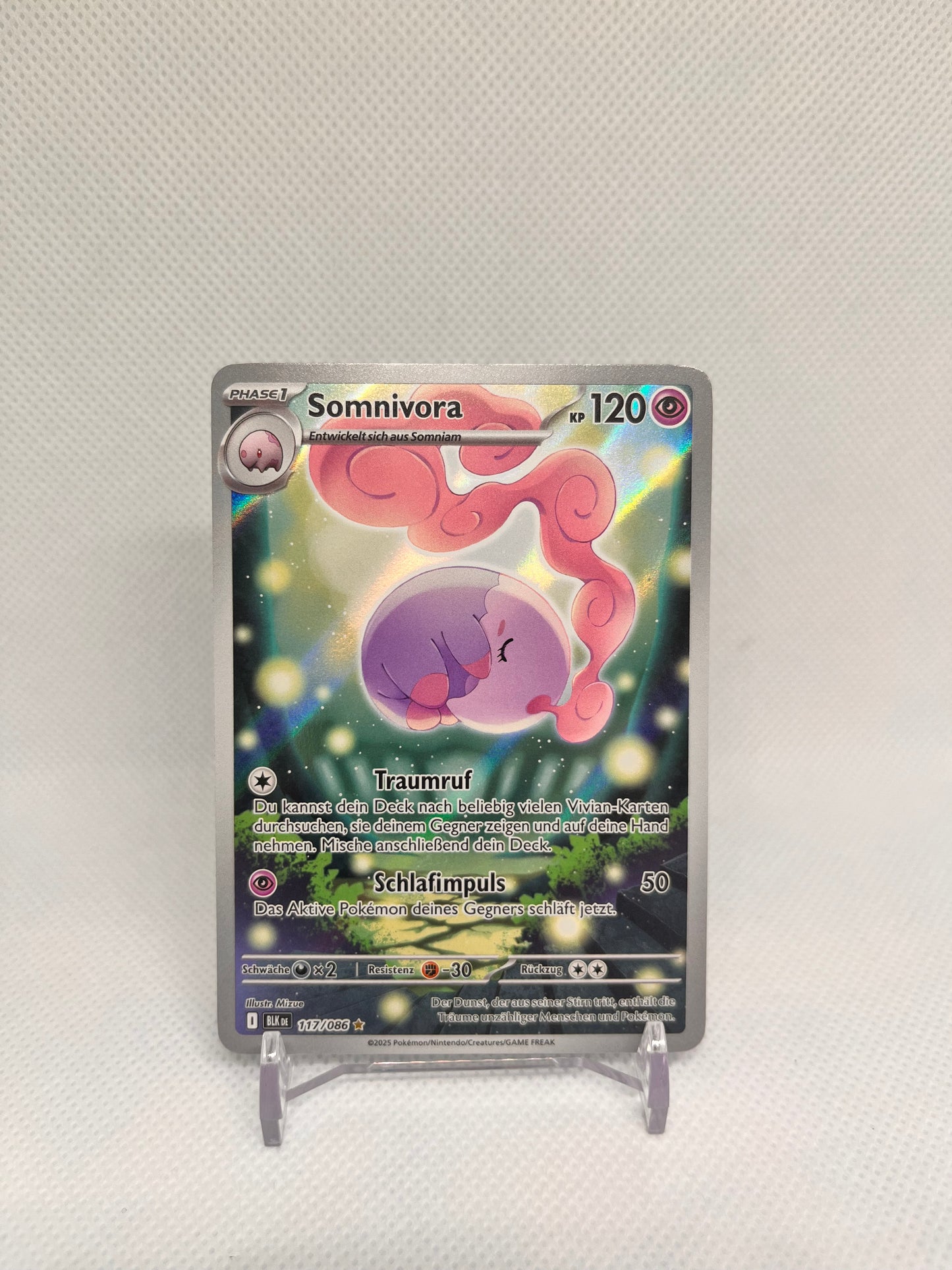 Somnivora BLK117, DE