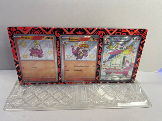Kartendisplay - Acryl Case