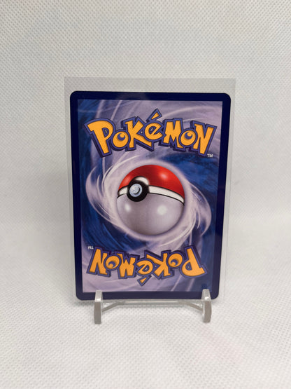 Schiggy sv2a 170/165, KOR