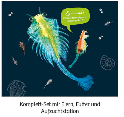Mitbringexperimente - Urzeit-Krebse