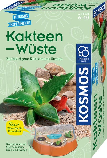 Kakteen-Wüste Experimentierkasten