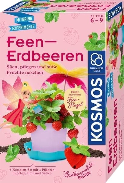 Erdbeeren Experimentierkasten