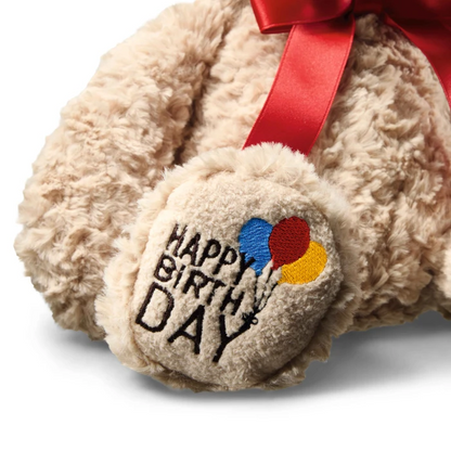 Steiff - Jimmy Teddybär Happy Birthday
