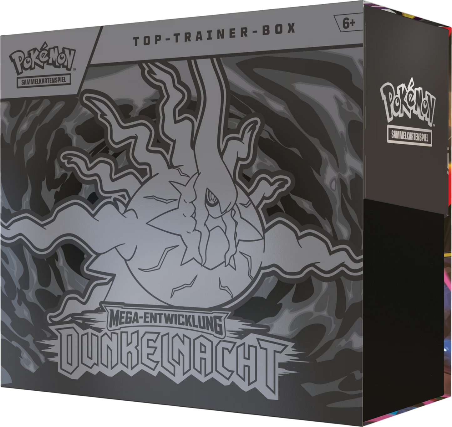 Dunkelnacht Top Trainer Box, DE - ab 17.7.26